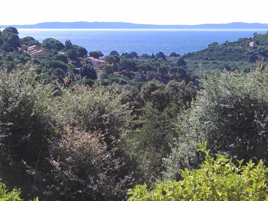 Massacan-vue Le Lavandou