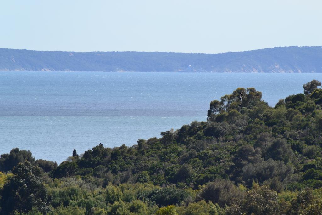 Massacan-vue Le Lavandou