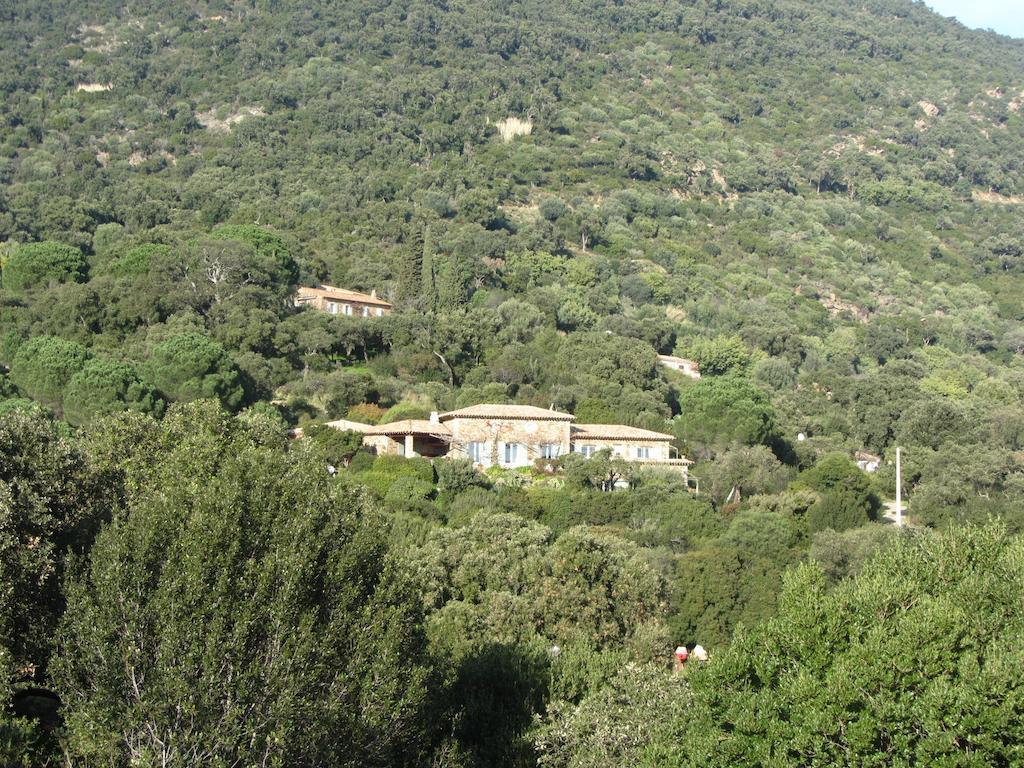Massacan-vue