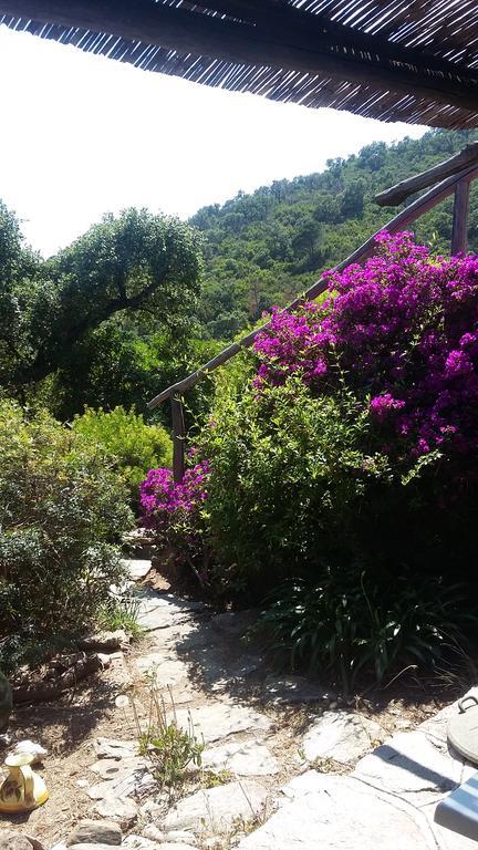 Massacan-vue Guest house *