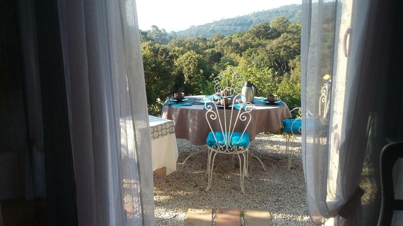 Guest house Massacan-vue Le Lavandou