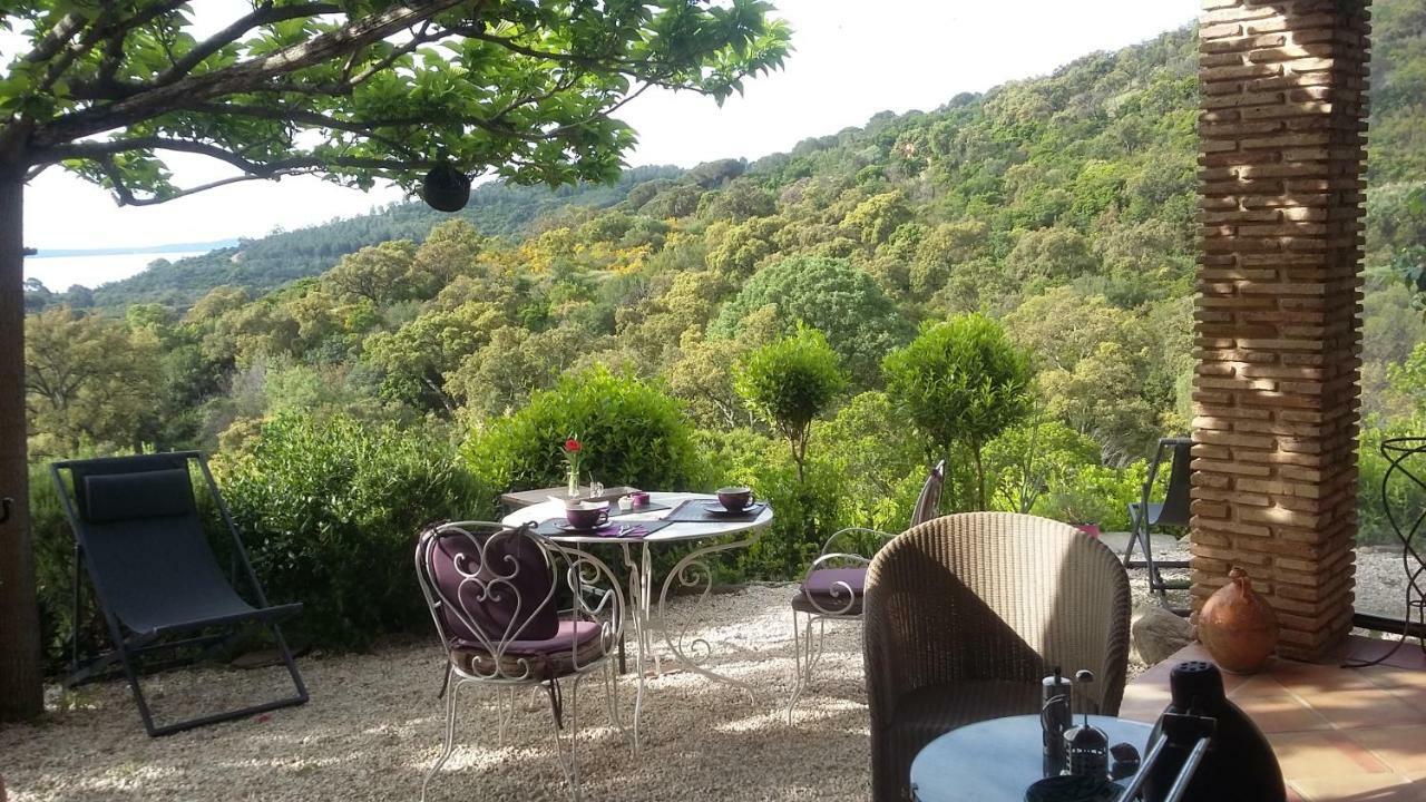 Massacan-vue Le Lavandou