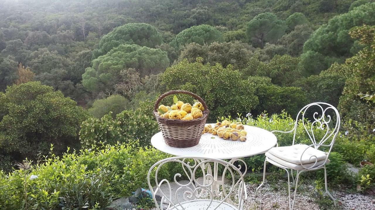 Massacan-vue Guest house Le Lavandou