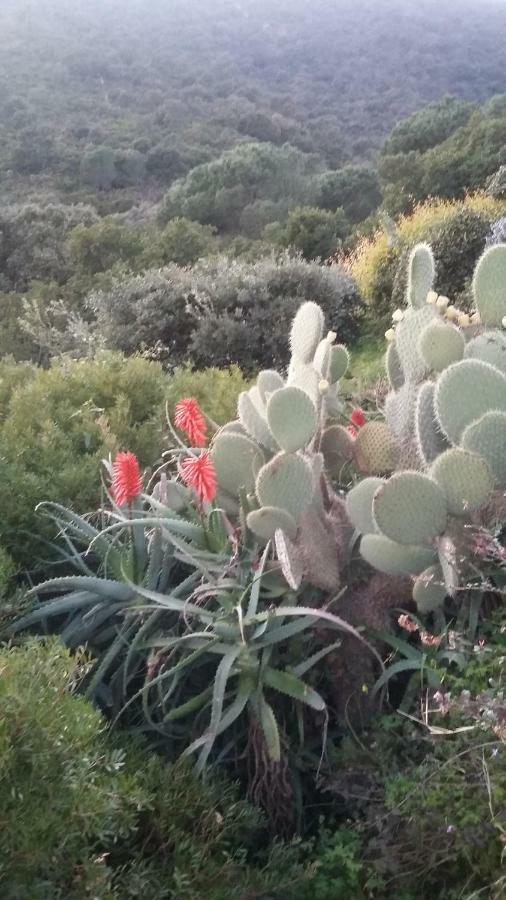 Guest house Massacan-vue *