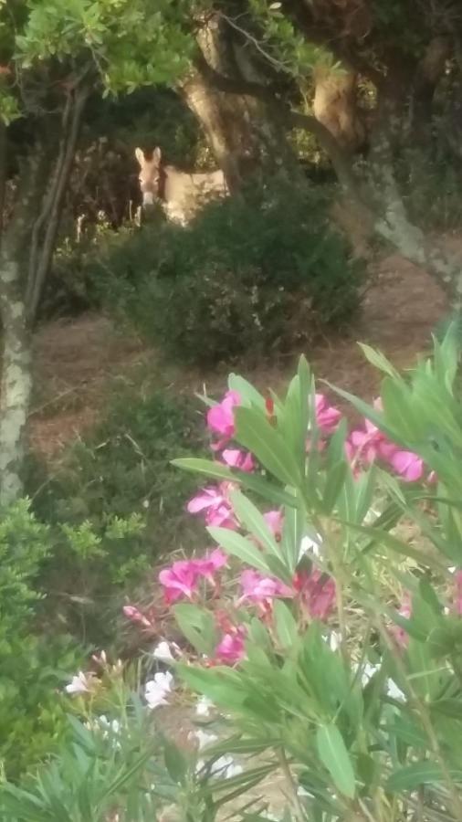 Guest house Massacan-vue *